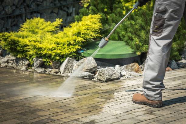 Best Driveway Cleaning and Restoration in Arden Hills, MN