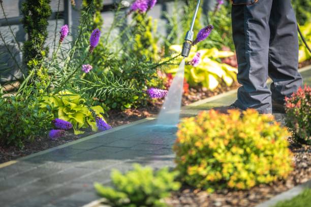 Best Pool Deck Cleaning in Arden Hills, MN